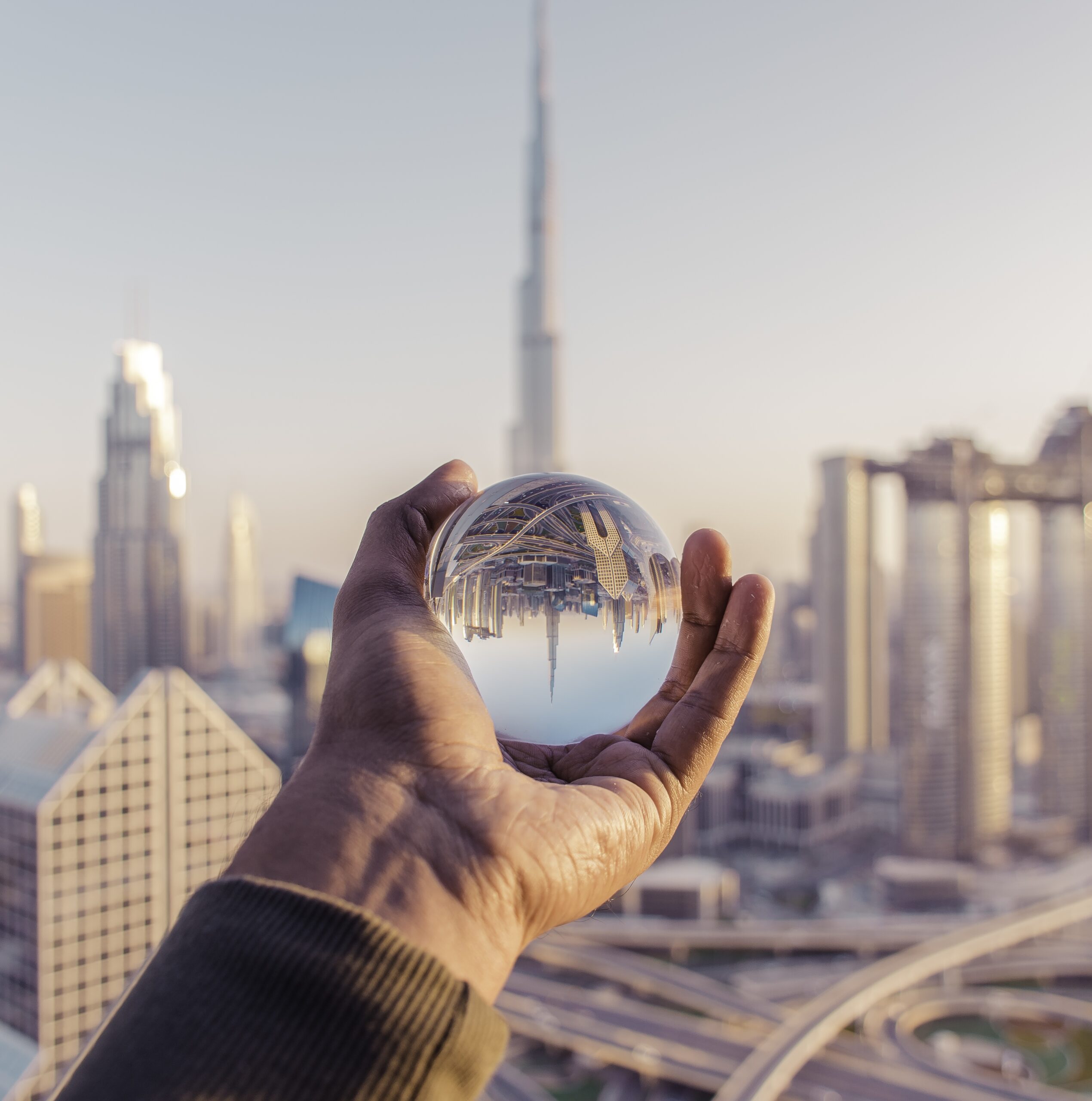What Are The Professional License Benefits?